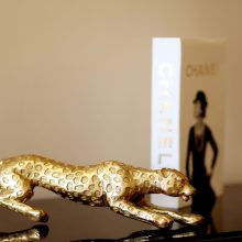 WhatsApp Image 2026-02-12 at 12.08.25 PM