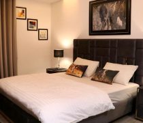 WhatsApp Image 2026-02-12 at 12.14.03 PM